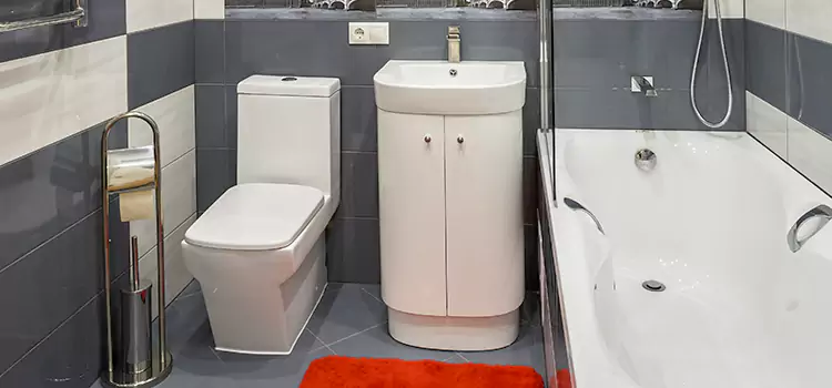 Hansgrohe Shaving Mirror Rockville